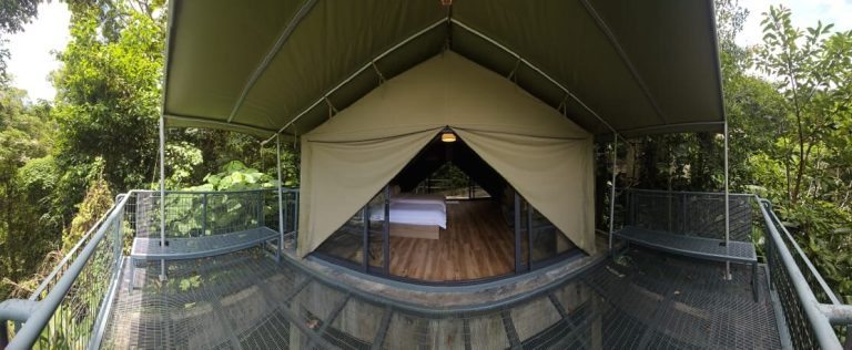 Rasai suasana Glamping dalam hutan di Pulau Pinang