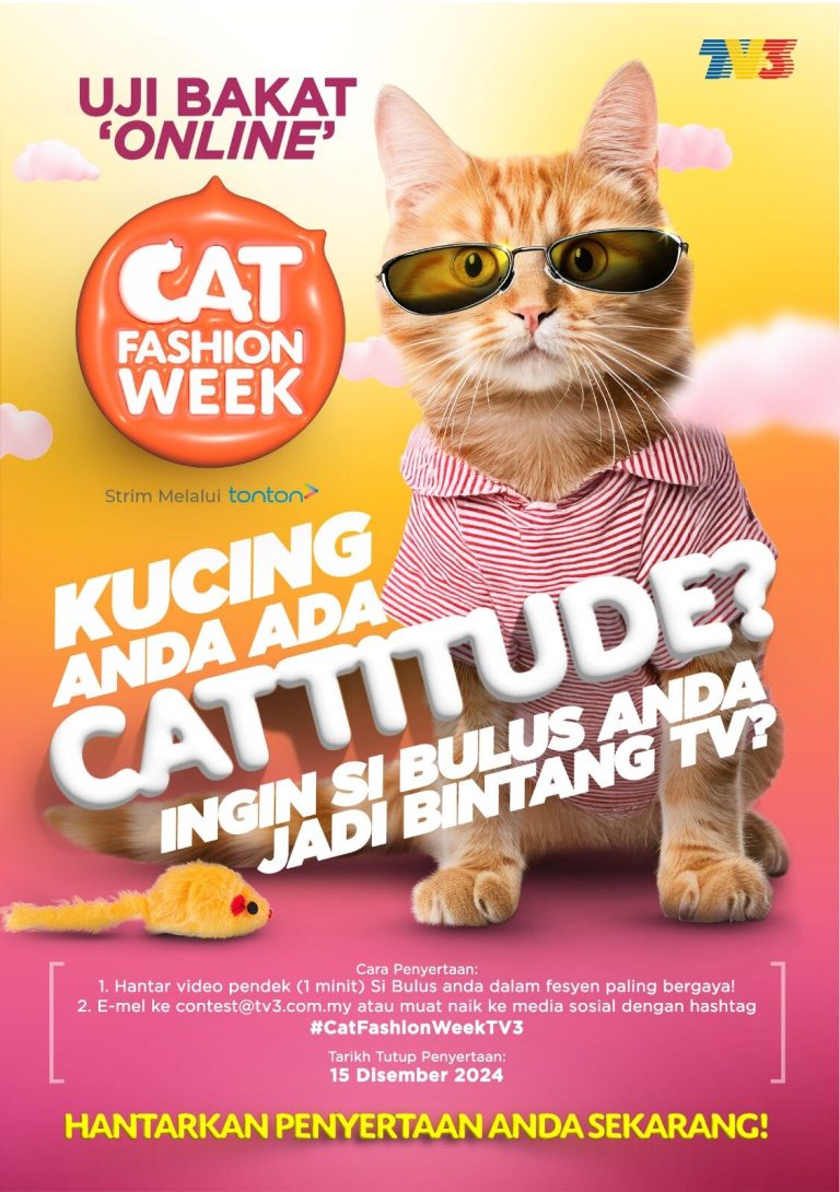 Cat Fashion Week, peluang si bulus menjadi bintang TV