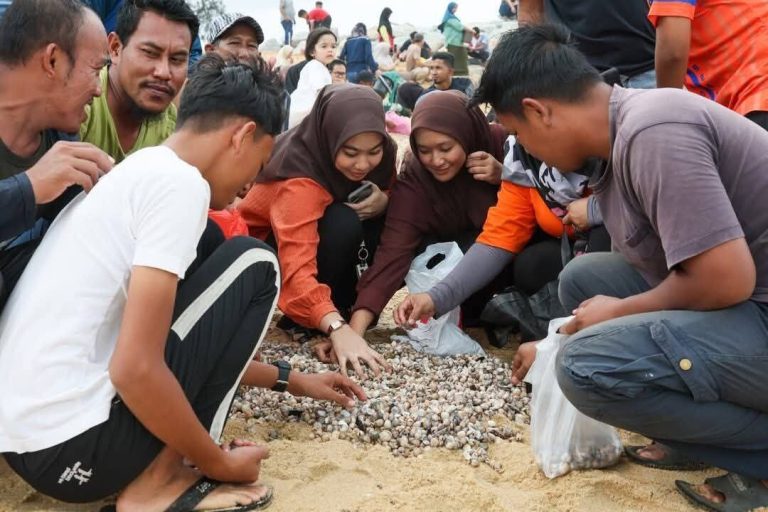 Fenomena kerang terdampar di Pantai Terengganu bukan petanda bencana, selamat dimakan – penyelidik UMT